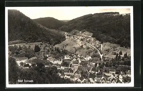 AK Bad Teinach, Totalansicht mit Waldpartie