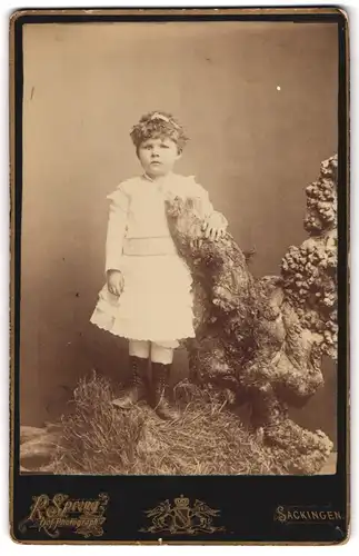 Fotografie R. Spreng, Säckingen, Portrait kleines Mädchen im weissen Kleid