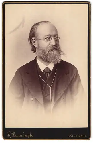 Fotografie Hermann Brandseph, Stuttgart, Marienstrasse 36, Portrait älterer Herr mit Brille und Vollbart