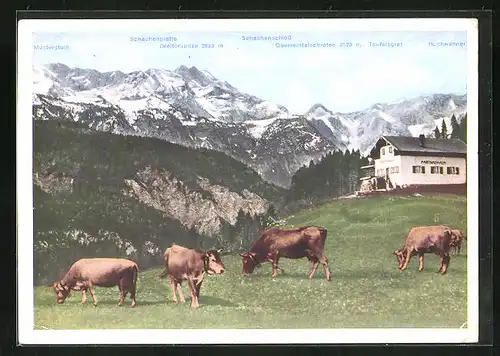 AK Garmisch, Partnachalm, Darstellung von grasenden Kühen vor diversen Bergen