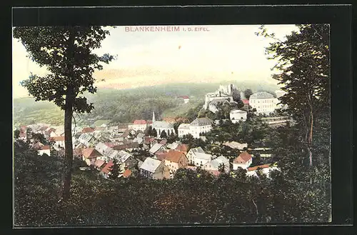 AK Blankenheim /Eifel, Panorama über Ort und Burg