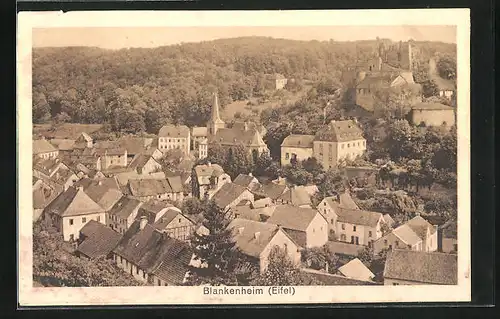 AK Blankenheim /Eifel, Blick über Dächer zur Burgruine