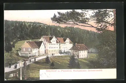 AK Ruhestein /Schwarzwald, Gasthof und Pension Ruhestein