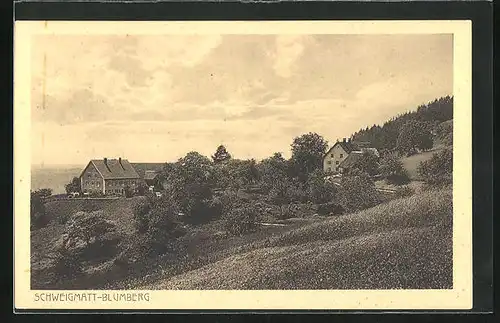 AK Schweigmatt-Blumberg, Blick auf vereinzelte Häuser