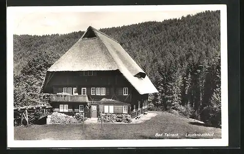 AK Bad Teinach, Gasthof Laudenbachhof mit Wald