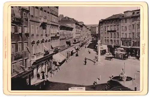 Fotografie Stengel & Co., Dresden, Ansicht Triest, Pferdebahn am Coros mit Geschäften
