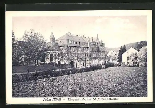 AK Prüm /Eifel, Tiergartenstrasse mit St. Josephs-Kloster