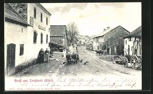 AK Tettscheid /Eifel, Partie im Ort mit Ochsenkarren