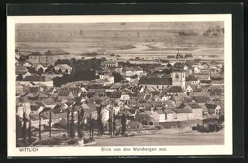 AK Wittlich, Blick von den Weinbergen aus