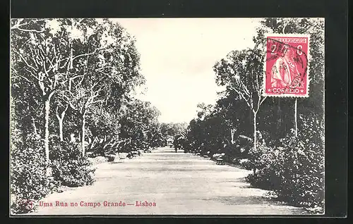 AK Lisboa, Uma Rua no Campo Grande