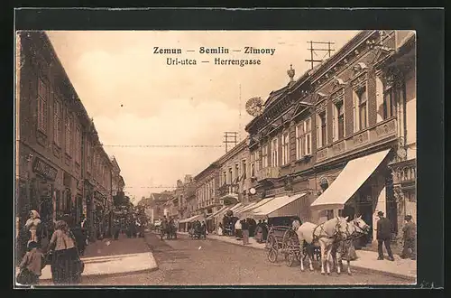 AK Zemun, Herrengasse mit Pferdekutsche