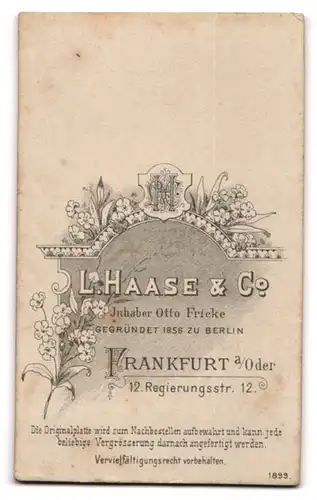 Fotografie L. Haase & Co., Frankfurt a /Oder, Regierungsstrasse 12, Portrait junger Herr im Anzug mit Krawatte