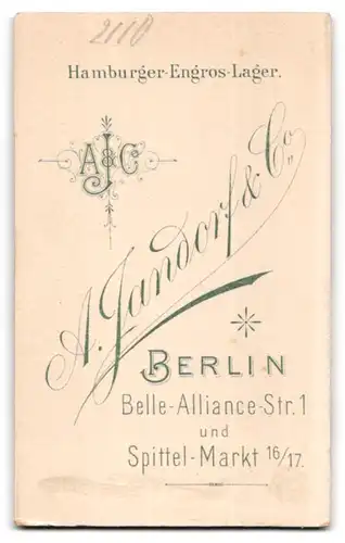 Fotografie A. Jandorf & Co., Berlin, Belle-Alliance-Strasse 1, Portrait eleganter Herr mit Oberlippenbart