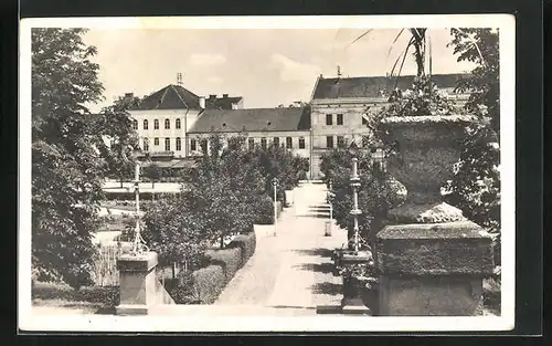 AK Sepsiszentgyörgy, Partie im Park