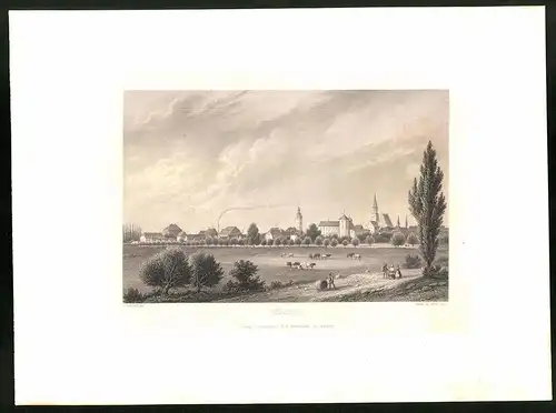 Stahlstich Züllichau, Panorama mit Türmen, aus Brandenburgisches Album von B. S. Berendsohn, 1860, 26 x 35cm