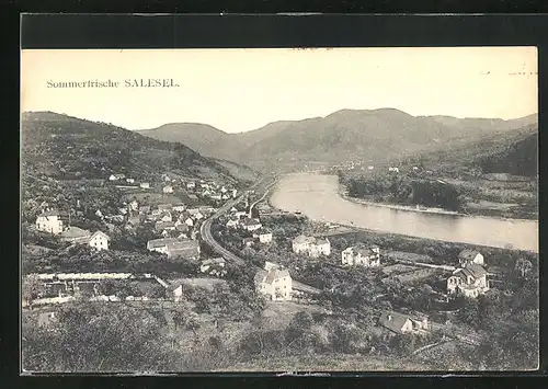 AK Salesel / Dolni Zalezly, Blick auf Umgebung und Ort an der Elbe