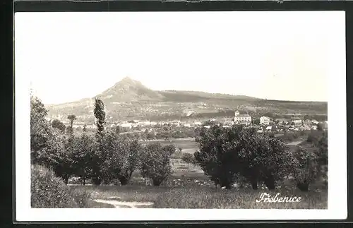 AK Trebenice, Panorama