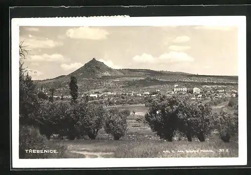 AK Trebenice, Panorama