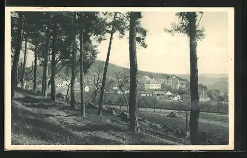 AK Slapy /Praha, Ortsansicht aus Wald heraus