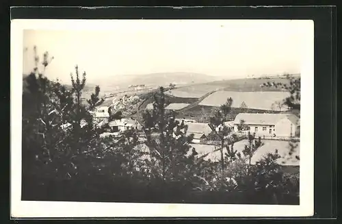 AK Bojov, Blick über Baumspitzen auf den Ort