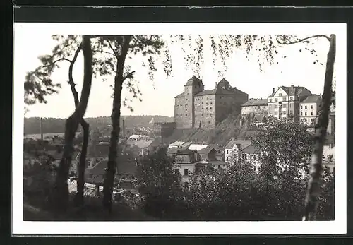 AK Mladá Boleslav, Schloss in der Stadt