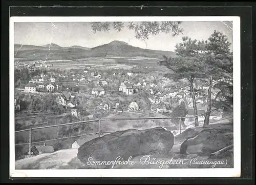 AK Bürgstein, Panorama der Ortschaft von einer Anhöhe aus gesehen