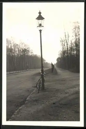 Fotografie unbekannter Fotograf, Ansicht Berlin, Strassenansicht am Plänterwald