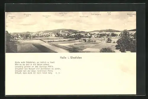 AK Halle i. Westf., Gesamtansicht