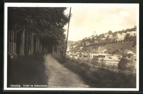 AK Altensteig, Partie im Hafnerwald