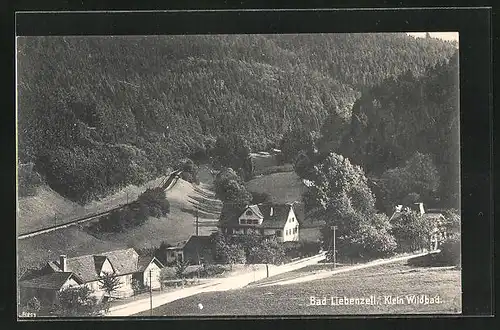 AK Bad Liebenzell, Klein Wildbad aus der Vogelschau