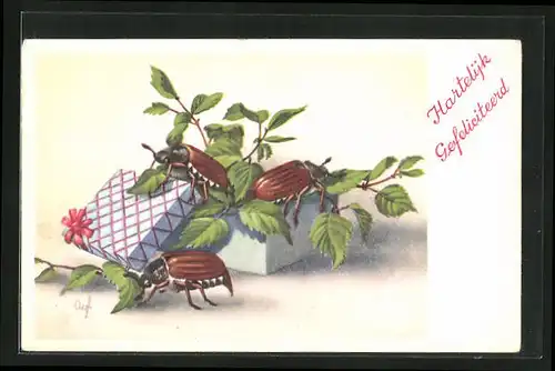 AK Maikäfer krabbeln auf einer mit Blattgrün gefüllten Schachtel