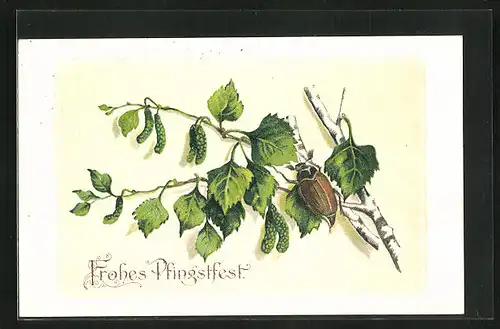 AK Fröhliches pfingstfest, Maikäfer krabbelt auf einem Zweig