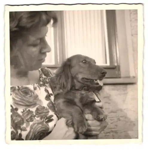 3 Fotografien Hund - Dackel, Hausfrau mit Schosshund, Teckel, Dachshound