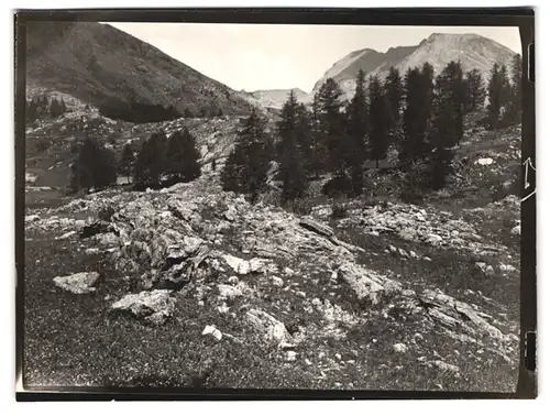 36 Fotografien Universite De Paris, Ansicht Haut-Verdon Colmars, Orts - und Strassenansichten, Gebirgslandschaften