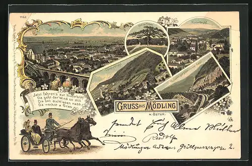 Lithographie Mödling, Breite Föhre, Totalansicht, Hinter- und Vorderbrühl