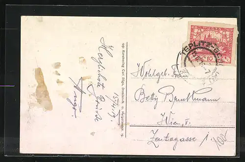 AK Teplitz Schönau / Teplice, Kaiserin Elisabeth-Bad aus der Vogelschau