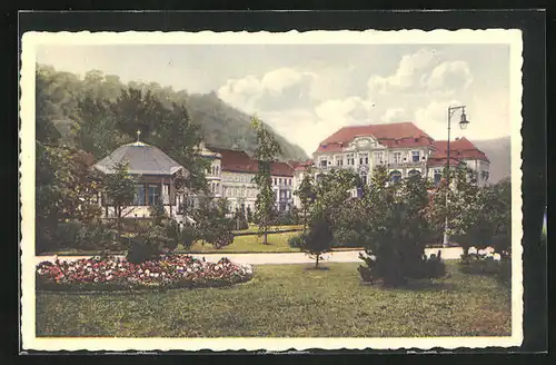 AK Teplitz Schönau / Teplice, Steinbad mit Anlagen