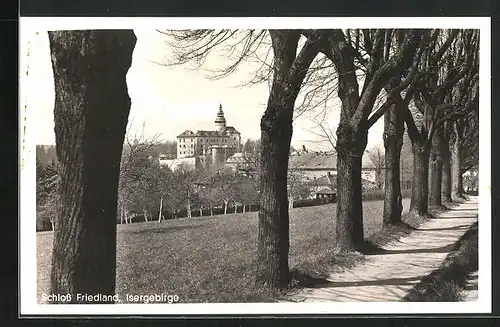 AK Friedland / Frydlant, Blick von der Allee zum Schloss