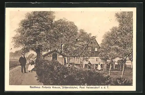 AK Dittersbächel, Gasthaus Antonia Krause