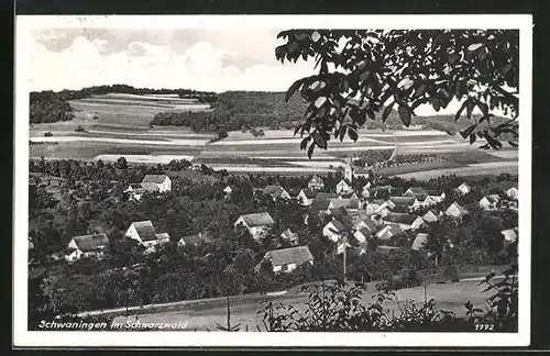 AK Schwaningen / Schwarzwald, Gesamtansicht