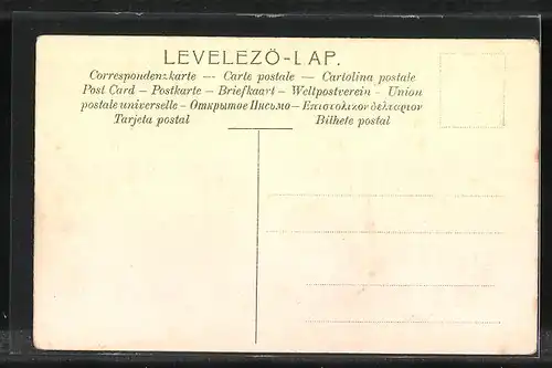 Lithographie Briefmarken von Ungarn verschiedener Werte, Wappen mit Krone und Engeln