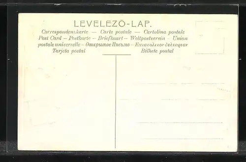 Lithographie Briefmarken von Ungarn verschiedener Werte, die Engel neben dem Wappen mit Krone