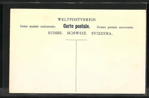 Lithographie Briefmarken der Schweiz verschiedener Werte, Wappen mit Fahne und Eichenkranz