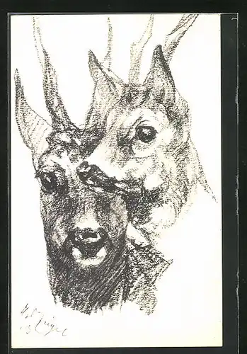 Künstler-AK München, Zoologischer Garten, Zeichnung eines Hirsches