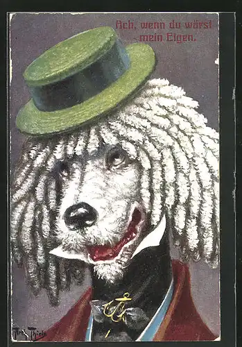 Künstler-AK Arthur Thiele: vermenschlichte Tiere, Hund mit einem grünen Hut