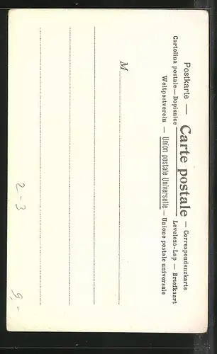Lithographie Brief, Landesflagge, Cachemire, Bote mit Paket auf dem Kopf
