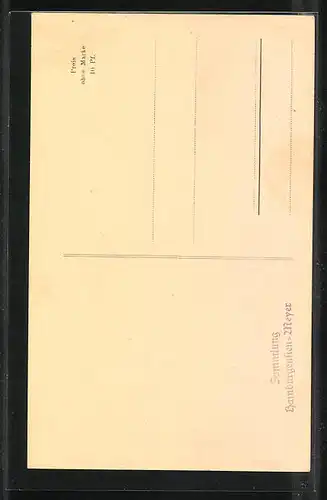 AK Hamburg, 24. Wanderausstellung der DLG 1910, Haupteingang
