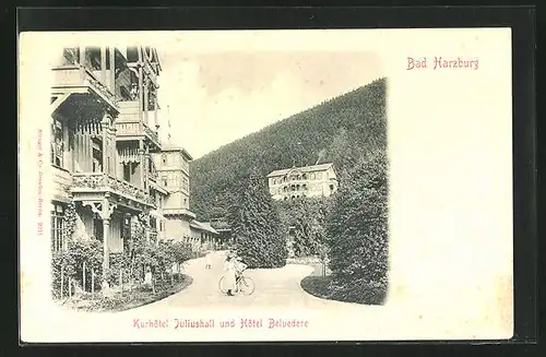 AK Bad Harzburg, Kurhotel Juliushall und Hotel Belvedere