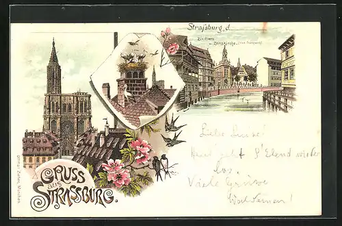 Lithographie Strassburg, Zix-Platz und Zionskirche, Klein-Frankreich, Storchennest