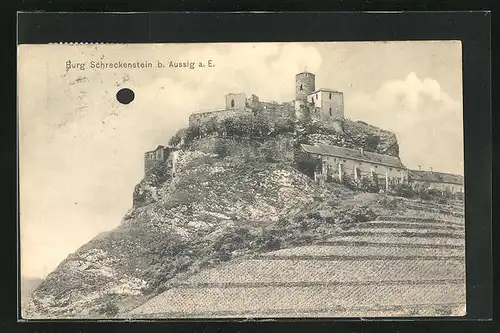 AK Schreckenstein, Burg mit Weinberg